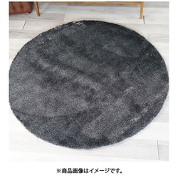 ラグ Mネオグラス 直径100cm ブラック 13127594-10