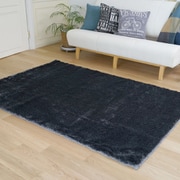 ラグ ネオグラス 200cm×250cm ブラック 13127373-10