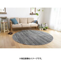 ラグ Mリュストル 直径200cm ダークグレー 13440063-40