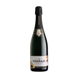 フェッラーリ "オマージュ" 750ml [スパークリングワイン]
