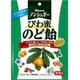 ノンシュガーびわ蜜のど飴 80g