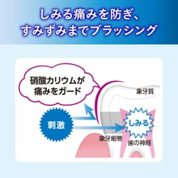 ヨドバシ.com - 佐藤製薬 sato 薬用アセス しみる歯ガード 90g