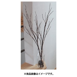77602001 [ブランチツリー80cm BRW]