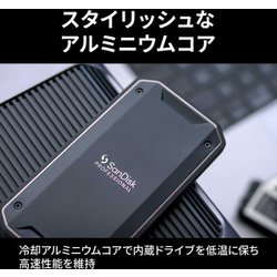 ヨドバシ.com - サンディスク​プロフェッショナル SanDisk
