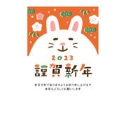 年賀はがき 2023年 和-Life年賀A F23-022