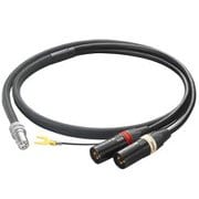 バランス伝送型フォノケーブル 5PIN DIN - XLR(M)×2 1.2m CC-1200D
