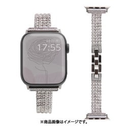 w00133sb [Apple Watch 45/44/42mm用 ステンレスバンド SV]