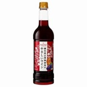 酸化防止剤無添加のやさしいワイン 赤 9度 720ml [赤ワイン]