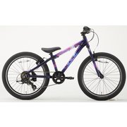 子ども用自転車 ジュニアバイク 22インチ 6段変速 MARIN23 DONKY JR 22 6s LTD GLOSS SPACE