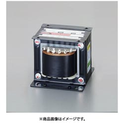 EA815ZY-45 [3.0A/100V・110V ダウントランス（保護シールド付）]