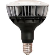 LDR100-200V25D8-H/E39-40BK3 [IRIS E39口金 バラストレス水銀灯代替（高効率）]
