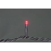 SJ-E05-10RR [デンサン LEDルミネーション（連結タイプ） LEDストリング]