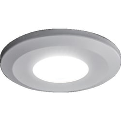 SL-RS2-100-WLSL [スガツネ工業 （220024095）SL-RS2-100-WLSLLEDスリムライト]