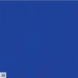 ASSF-3030B [TRUSCO エアーシャワー用粘着シート（穴なし） 300X300 30枚 中粘度 青]
