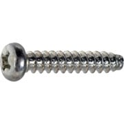 S027-0206 [TRUSCO ナベ頭タッピングねじ 三価白 2種B1 M2×6 4300本入 ヘキサゴンパック]