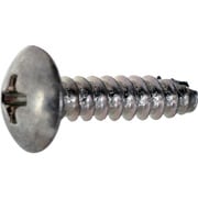S030-0306 [TRUSCO トラス頭タッピングねじ 三価白 2種B1 M3×6 1300本入 ヘキサゴンパック]