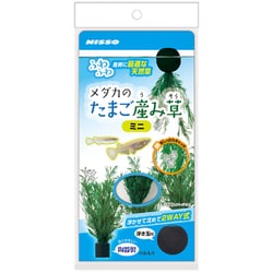 NAP-589 [メダカのたまご産み草 ミニ]