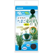 NAP-589 [メダカのたまご産み草 ミニ]