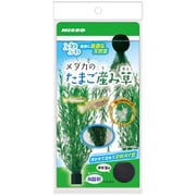 NAP-590 [メダカのたまご産み草]