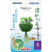 NAP-575 [テーブルアクア 浮かべる癒し苔玉 参（サン）]