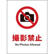 JHA-22P [JIS 禁止標識 タテ 撮影禁止]