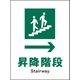 JHD-12P [JIS 安全標識 タテ 昇降階段→]