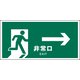 JWD-17E [JIS 安全標識 ヨコ 非常口 緑→]