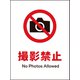 JHA-22S [JIS 禁止標識 タテ 撮影禁止]