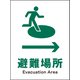 JHD-20M [JIS 安全標識 タテ 避難場所→]
