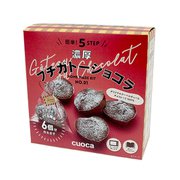 【限定】 手作りキット 「濃厚プチガトーショコラ」 1セット