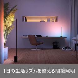 ヨドバシ.com - フィリップス PHILIPS Philips Hue Signe フロア ヨドバシ.com - フィリップス PHILIPS Philips Hue Signe フロア