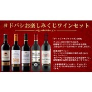 【60セット限定】ヨドバシお楽しみくじ ボルドーワイン6本セット（ボルドー金賞受賞ワイン 4本＋デュロン・サンテミリオン2019年 1本＋当たりワイン 1本） [赤ワイン/白ワイン]