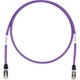 STP6X10MVL [パンドウイット CAT6A/CAT6 シールドパッチコード 10m 紫]