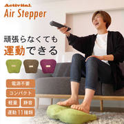 エアステッパー ブラウン