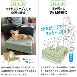 ヨドバシ.com - グッズマン GOODS MAN Activital 3WAY トランポリン