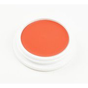 舞台屋 ペイントカラー No.5A