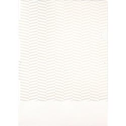 紙製トリック！クリアフォルダ A4 パターン大 GB2472