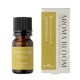 ボタニカルエッセンシャルオイル レモングラス 10ml 9154