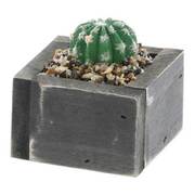 フェイクグリーン ウッド スクエア 1 ミニ 人工 観葉植物 NE-390