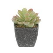 NE-534 [フェイクグリーン PCポット グレー ミニ 1 卓上 多肉植物 人工 観葉植物]