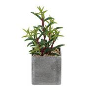NE-540 [フェイクグリーン PCポット グレー スクエア 1 卓上 多肉植物 人工 観葉植物]