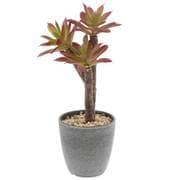 NE-552 [フェイクグリーン PCポットグレー ラウンド 3 卓上 多肉植物 人工 観葉植物]
