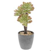 NE-553 [フェイクグリーン PCポットグレー ラウンド 4 卓上 多肉植物 人工 観葉植物]