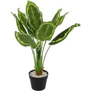NE-563 [フェイクグリーン ミドル ディフェンバキア 人工 観葉植物 インテリア]