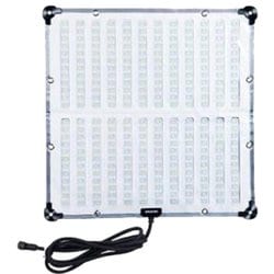 amaran F22x （No.APF22X） APF22X