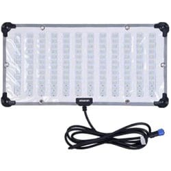 amaran F21c （No.APF21C） APF21C