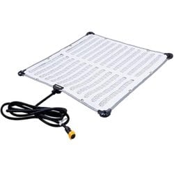 amaran F22c （No.APF22C） APF22C