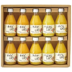 100％ピュアジュース 180ml 10本ギフトセット（みかん 4本 きよみ 2本 いよかん 2本 はっさく 2本）