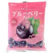 高岡食品 ブルーベリーチョコ 90g
