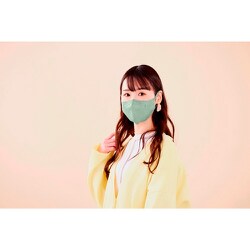 ヨドバシ.com - アイリスオーヤマ IRIS OHYAMA DAILY FIT MASK